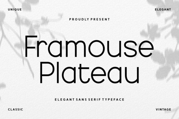 Framouse Plateau: A Thoughtful Sans Serif for Editorial Calm