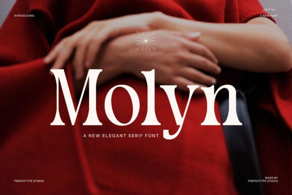 Molyn Modern Serif Font for Handmade Creators