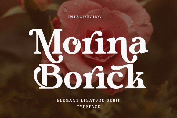Morina Borick: A Serif Font That Breathes Elegance Into Real Branding