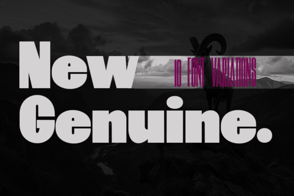 New Genuine: A Bold, Flexible Sans Serif Font for Small Businesses