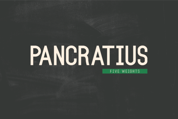 Pancratius: A Refined Sans Serif Typeface for Digital Branding